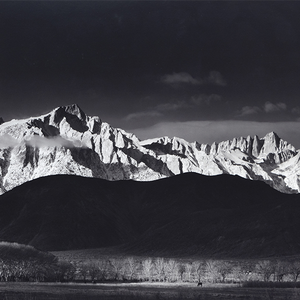 Ansel Adams: Bejahung des Lebens